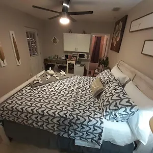 Luxurious Cozy Studio. Apartment Tampa